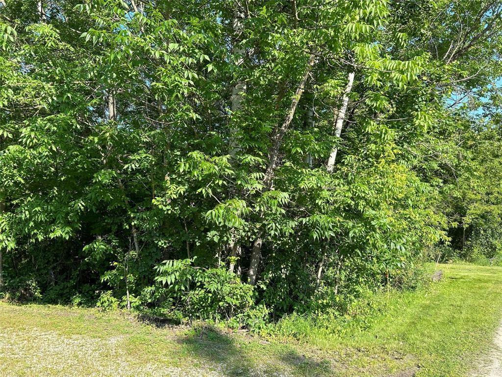 Photo de la propriété:  31 Elm Street  MB R0E 1P0 