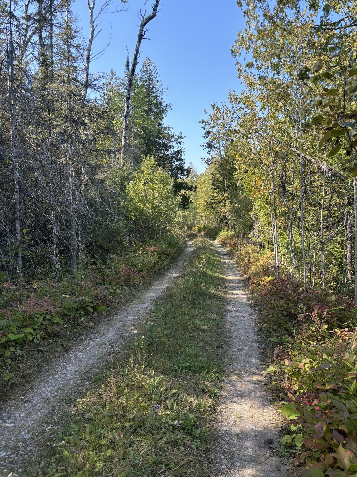 Property Photo:  Tbd W M-134 Hwy  MI 49745 