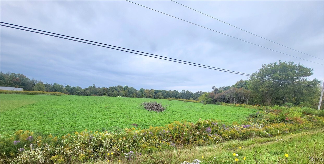 Property Photo: 0 Lick Street NY 13073