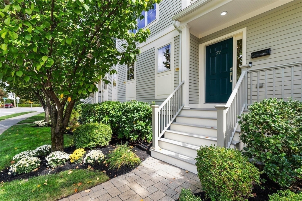 Property Photo:  77 Waverley Ave 77  MA 02472 