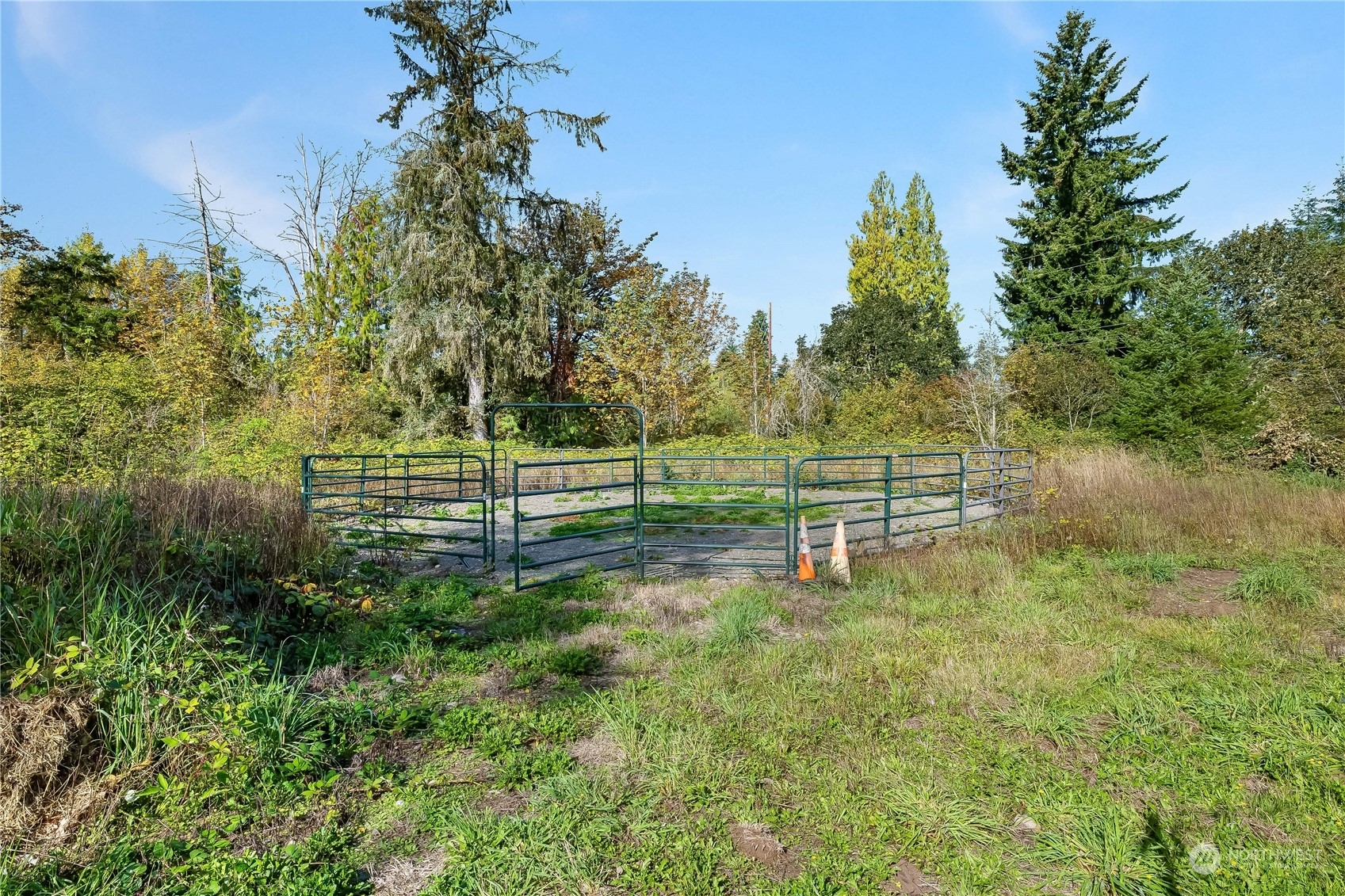 Property Photo: 64 Preston Road WA 98541