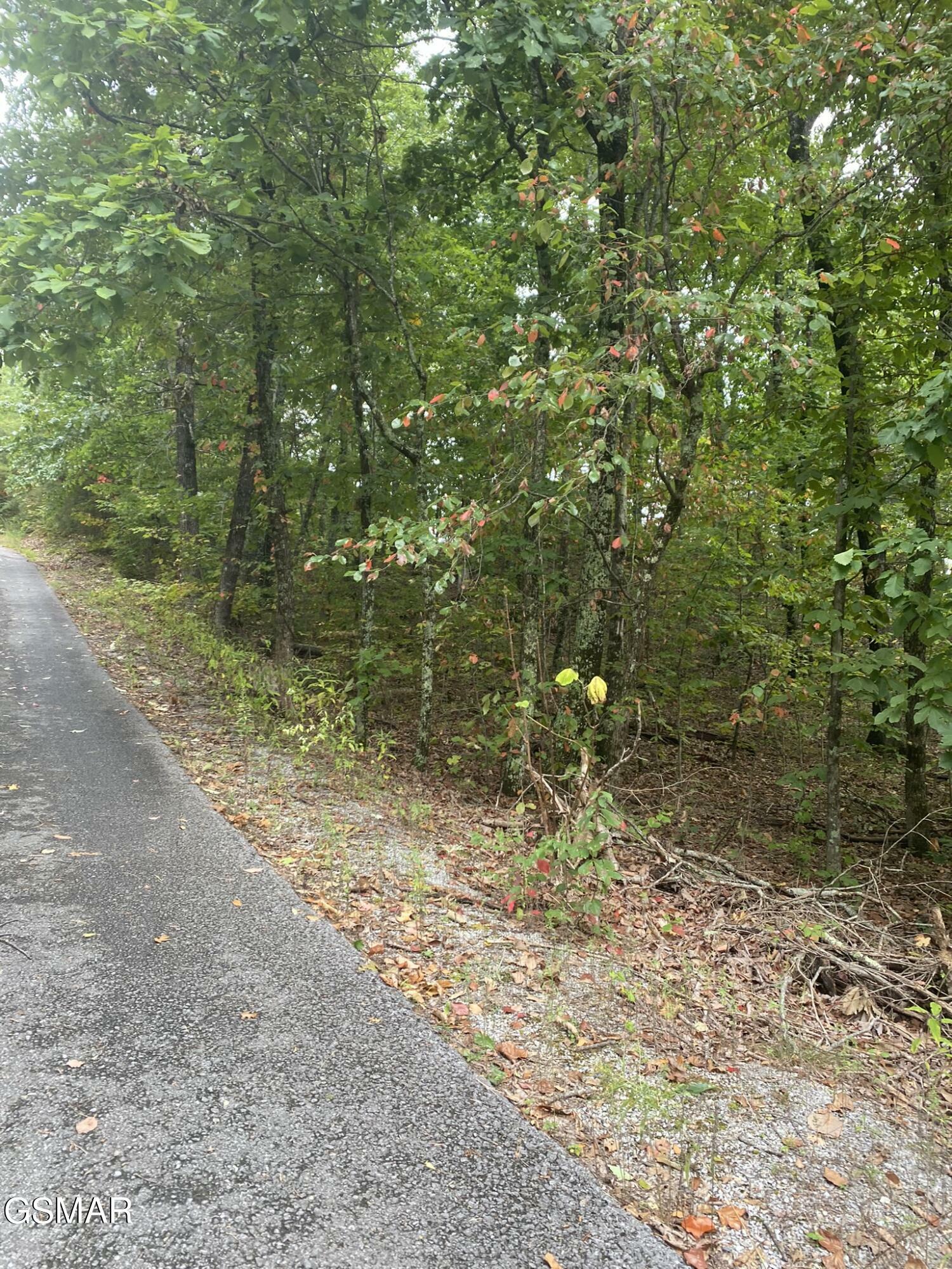 Property Photo:  Lot 63 Twin City Way  TN 37876 