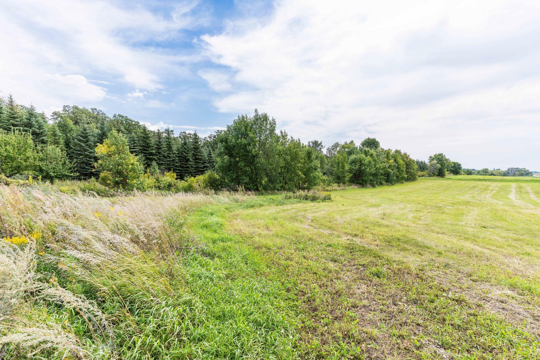 Property Photo:  Lot B 202nd Avenue  MN 56537 