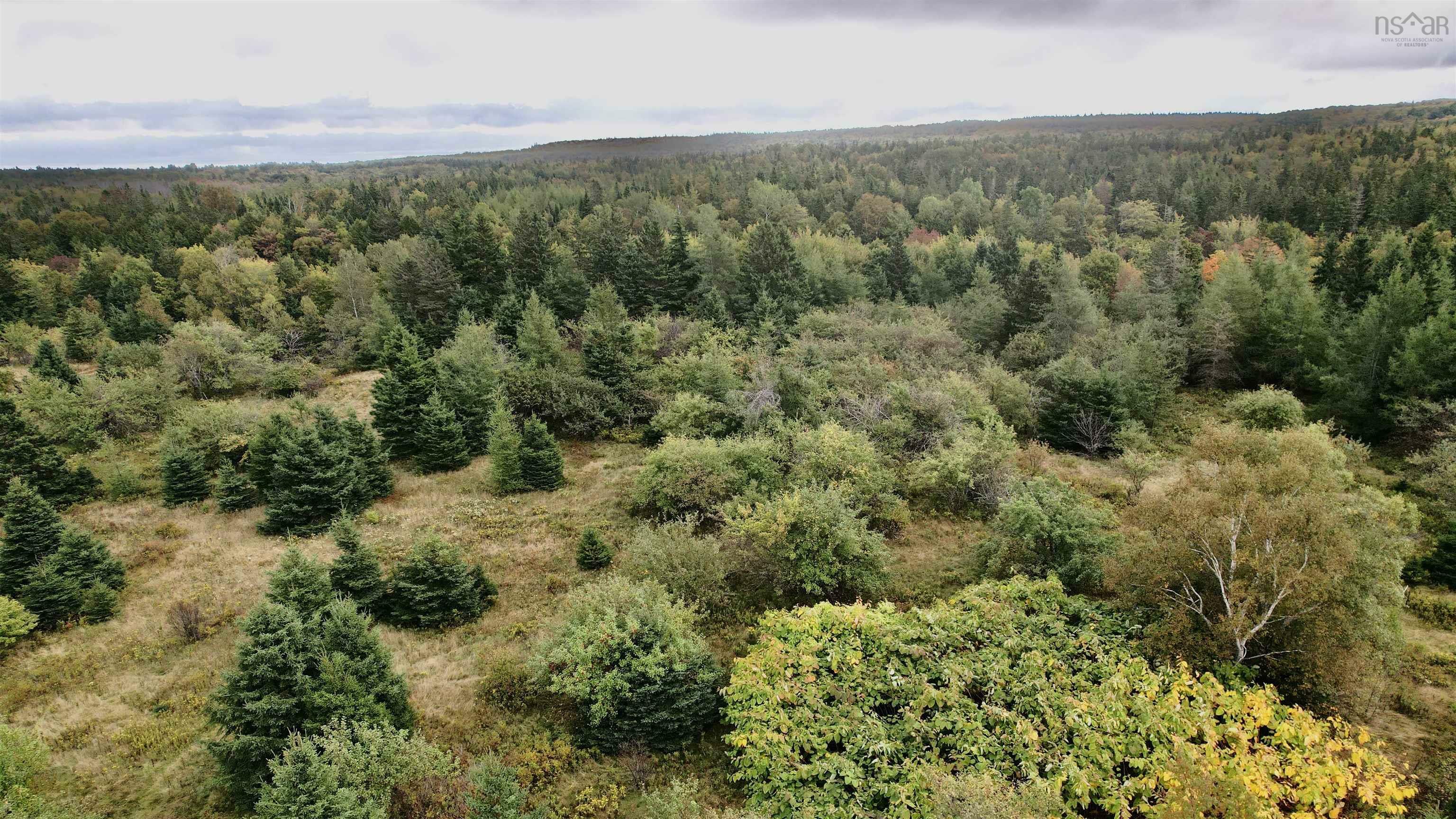 Property Photo:  8lots+80acres Beechmont Road  NS B2A 4K3 