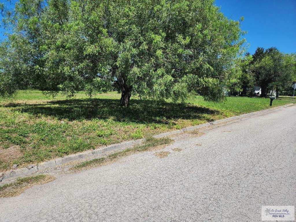 Property Photo: 0 Kika De La Garza Cir. TX 78552