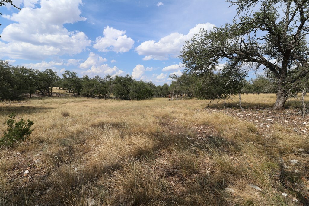 Property Photo:  97 Nott Branch Rd  TX 78631 