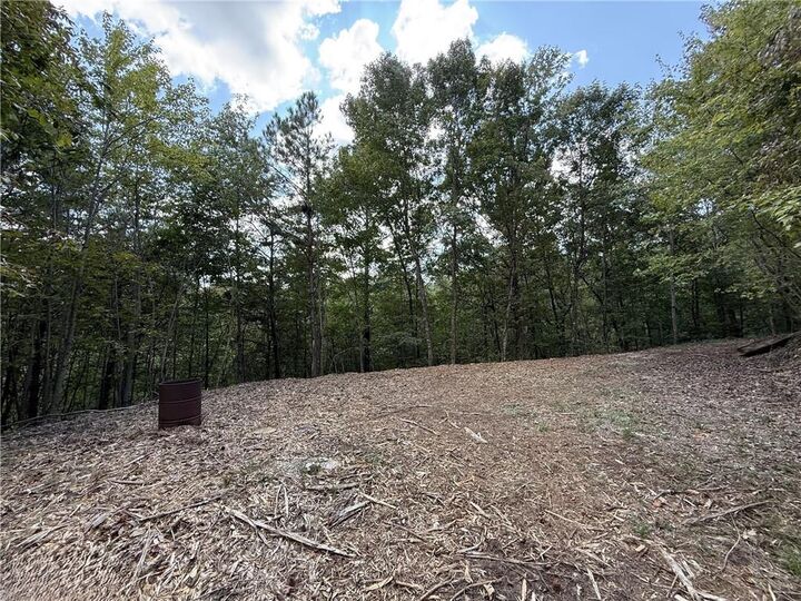 Property Photo: 52 Grizzley Court GA 30734