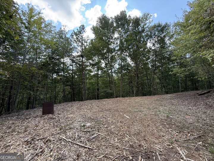 Property Photo:  52 Grizzley Court  GA 30734 