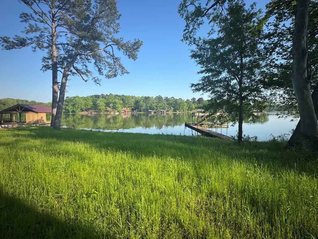 Property Photo: 2432 Lake Park Ln TX 75766