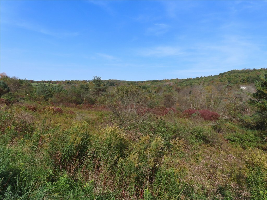 Property Photo:  0 State Highway 41 10.222 #1  NY 13778 