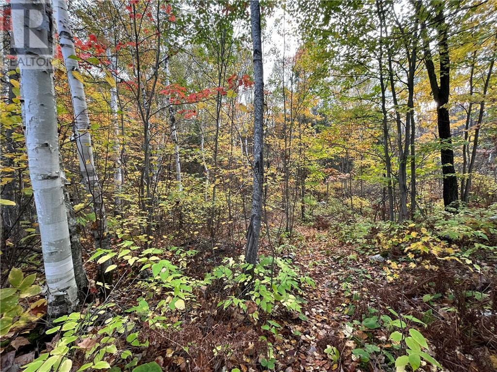 Property Photo:  Lot 0 Hanmer Lake Road E  ON P3P 1R3 