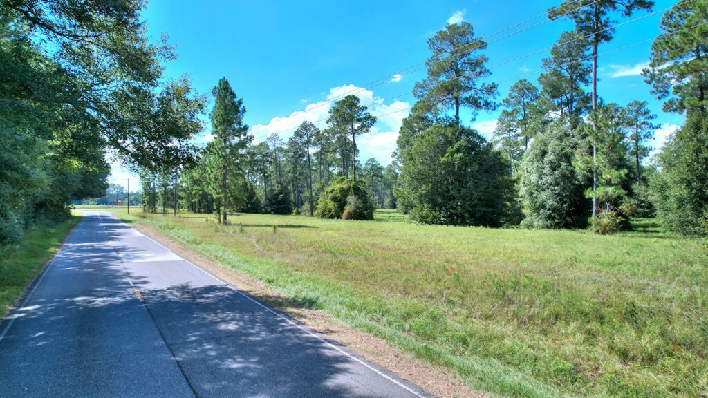 Property Photo:  Lot 13 Blk A - N Coney Rd  GA 31015 