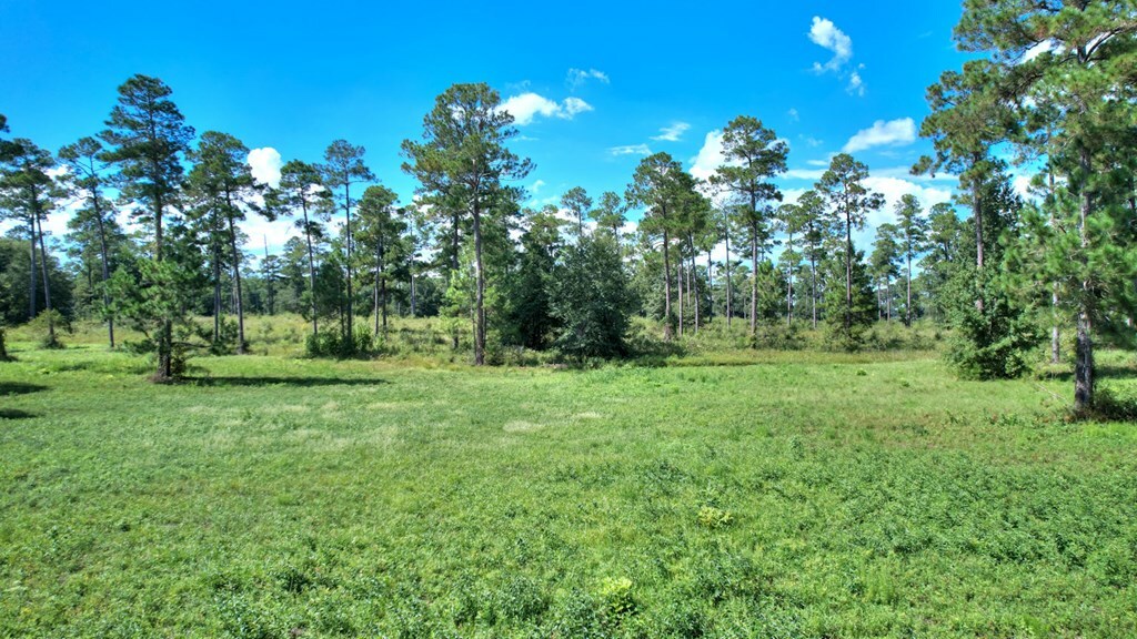 Property Photo:  Lot 23 Blk A - N Coney Rd  GA 31015 