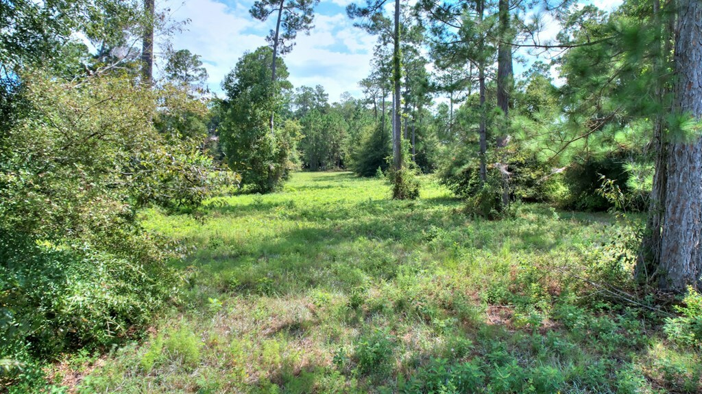 Property Photo:  Lot 45 Blk A - Swann Dr  GA 31015 