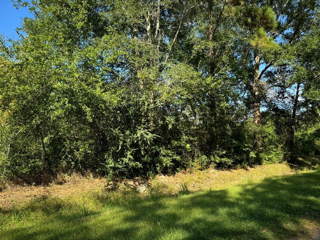 Property Photo:  Lot 72 Pine Park Boulevard  TX 77632 