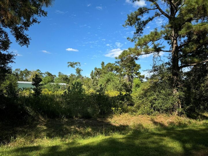 Property Photo:  Lot 72 Pine Park Boulevard  TX 77632 