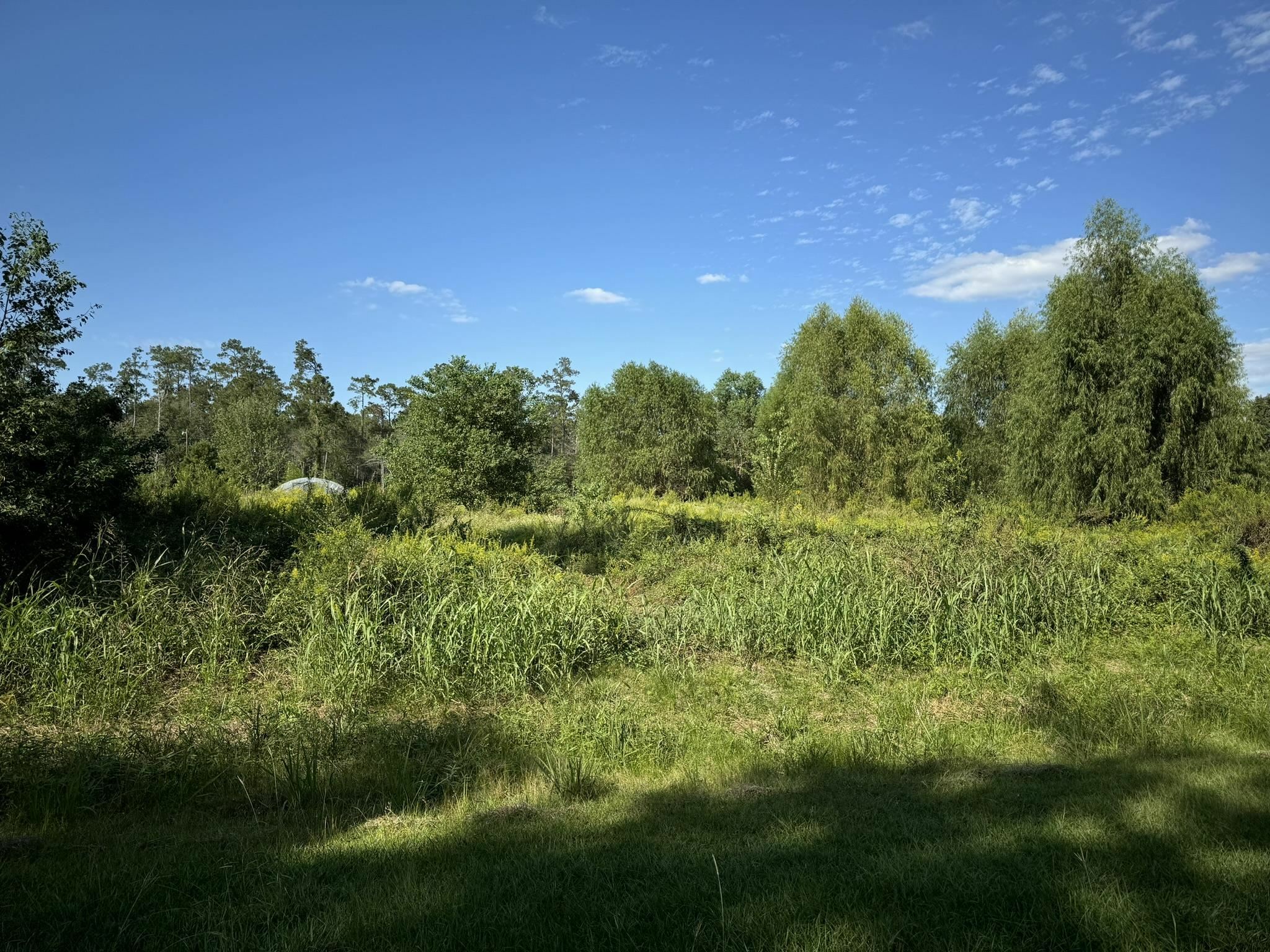 Property Photo:  Lot 72 Pine Park Blvd  TX 77632 