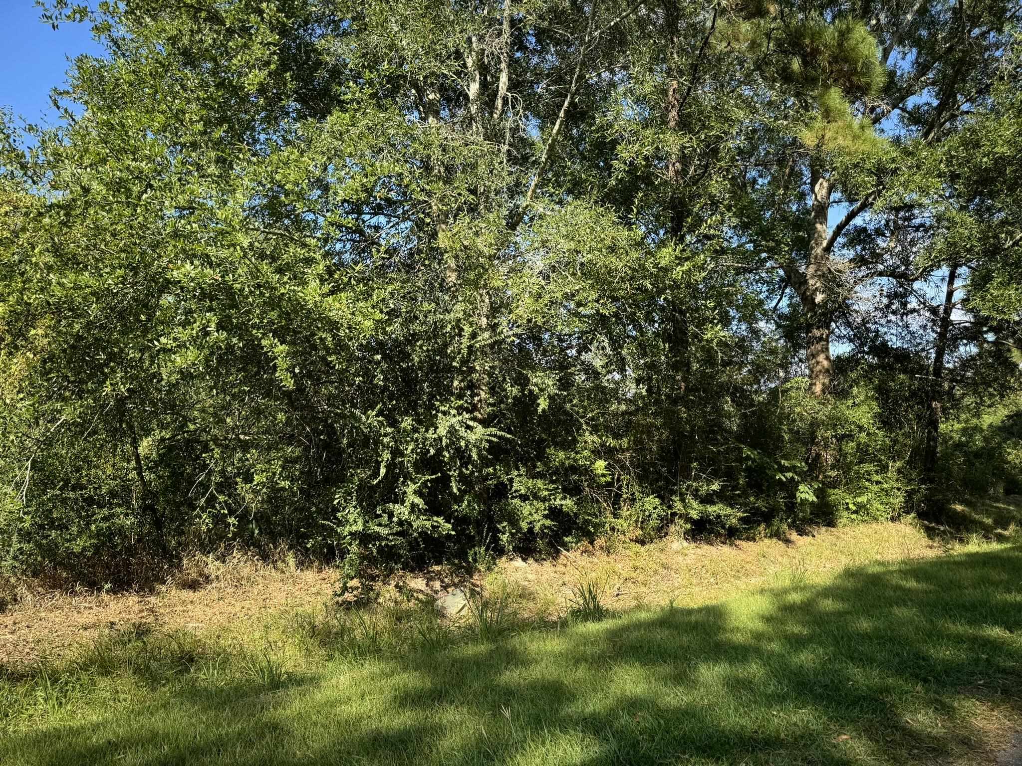 Property Photo:  Lot 75 Pine Park Blvd  TX 77632 