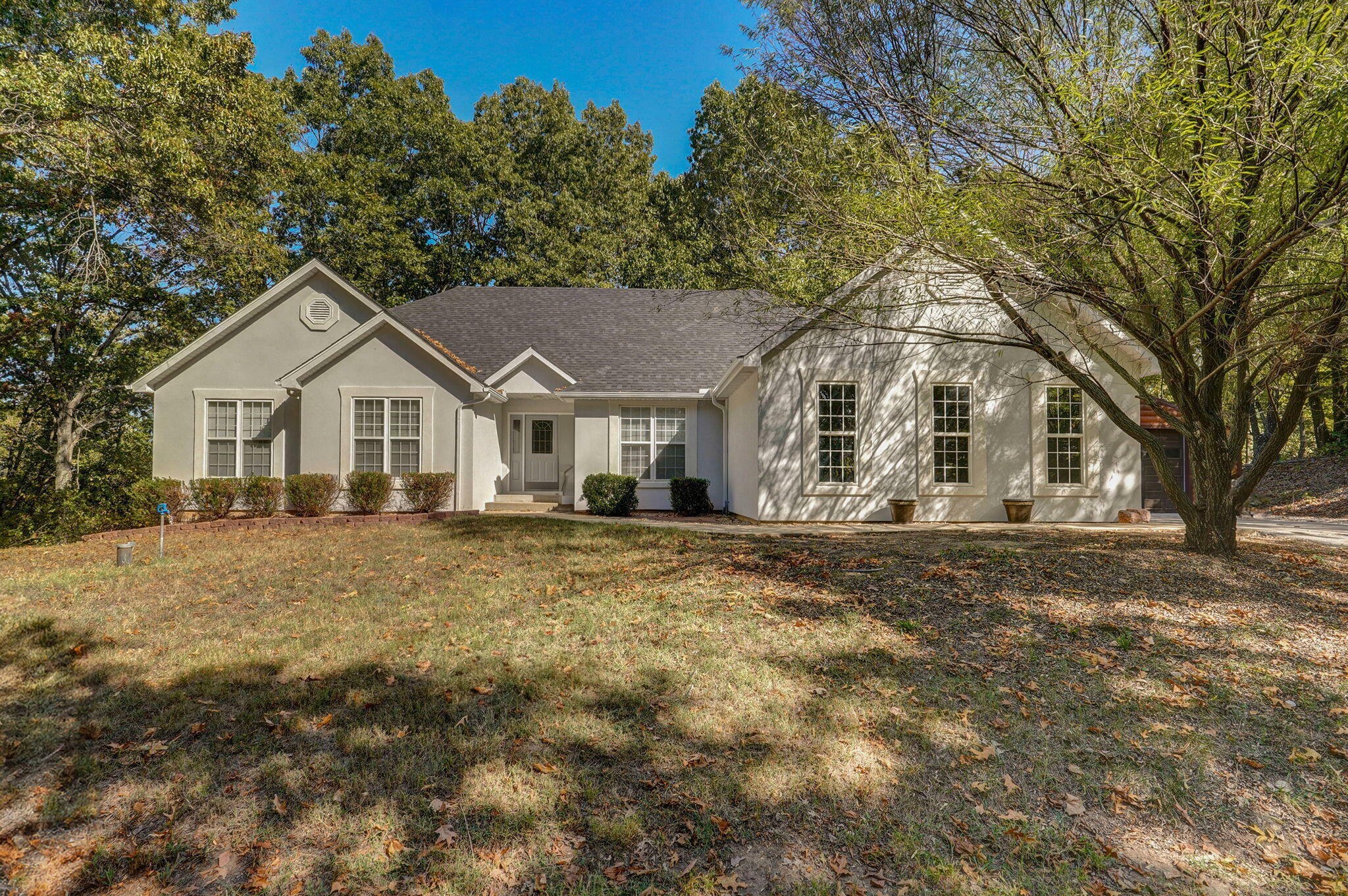 Property Photo:  88 Lovers Lane  MO 65737 