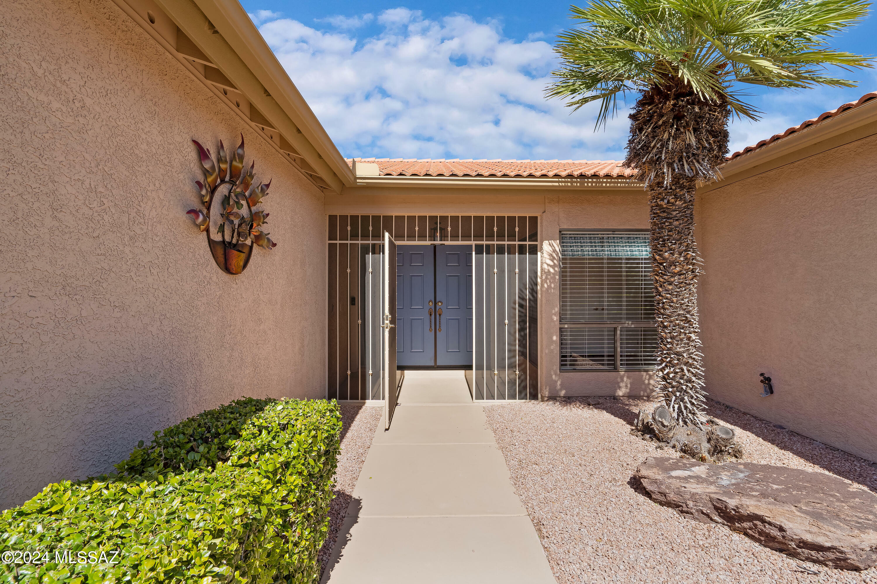 Property Photo:  64498 E Squash Blossom Lane  AZ 85739 