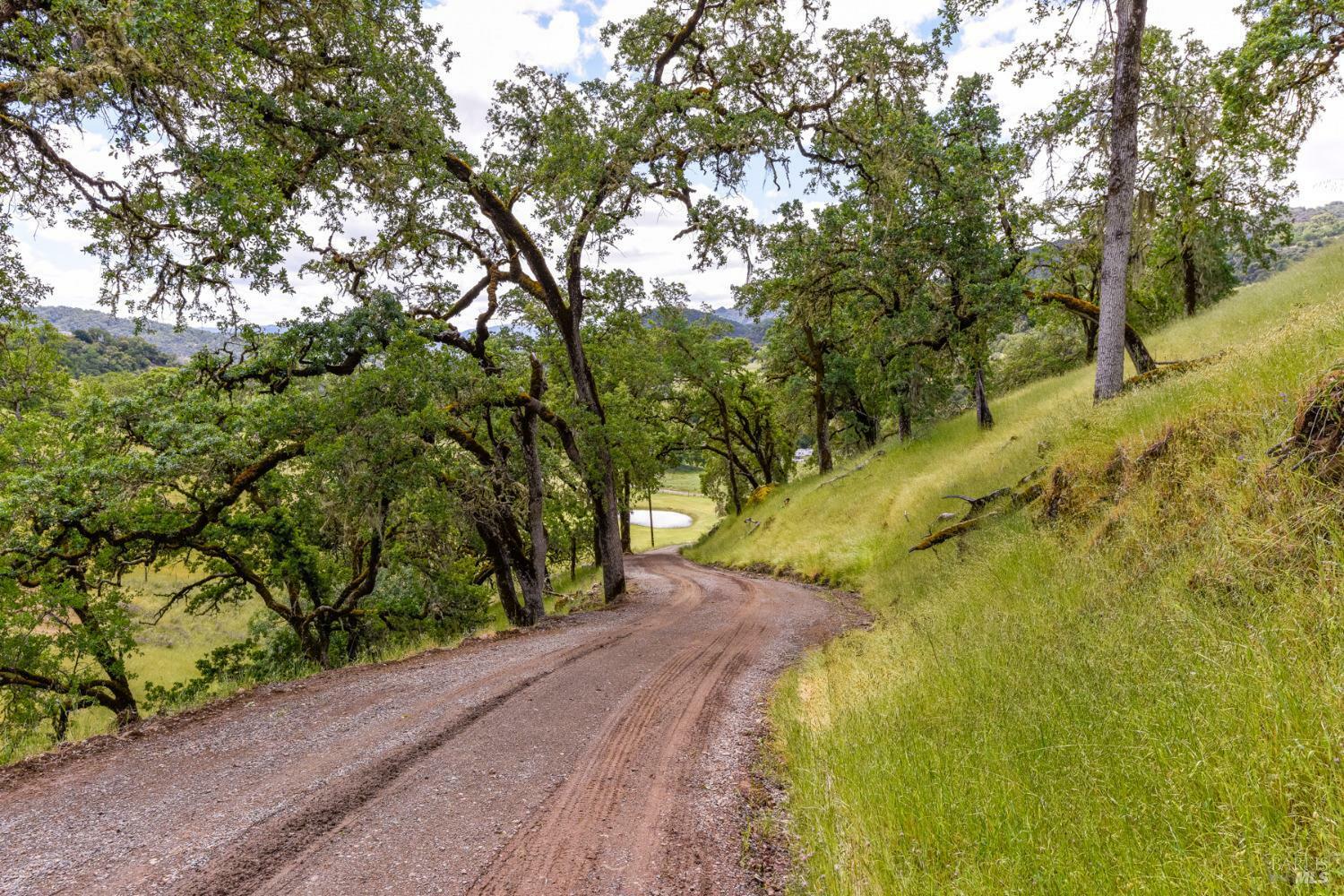 Property Photo:  4610 Feliz Creek Road  CA 95449 