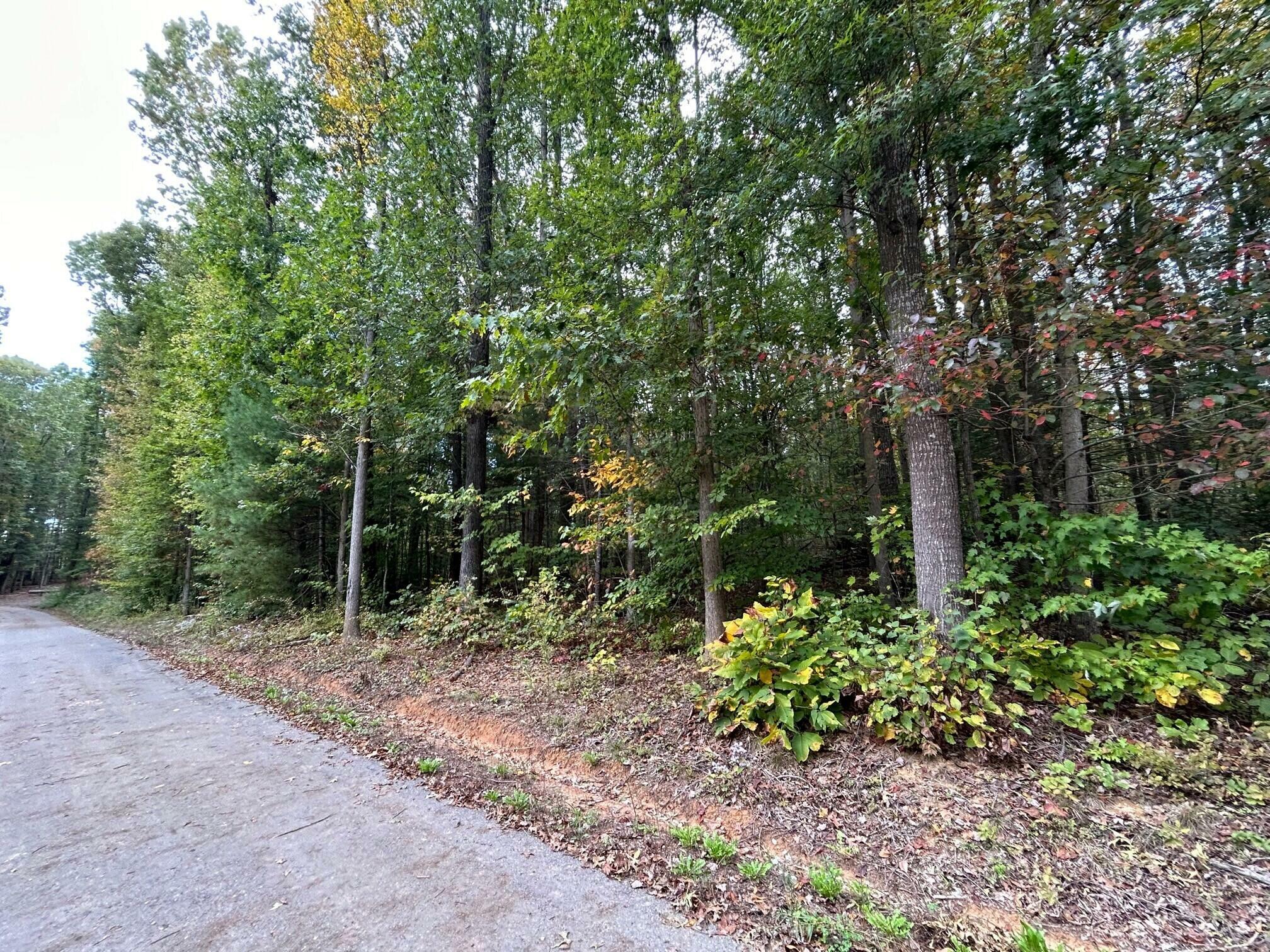 Property Photo:  871 Fleshman Dr (Lot 1)  WV 24983 