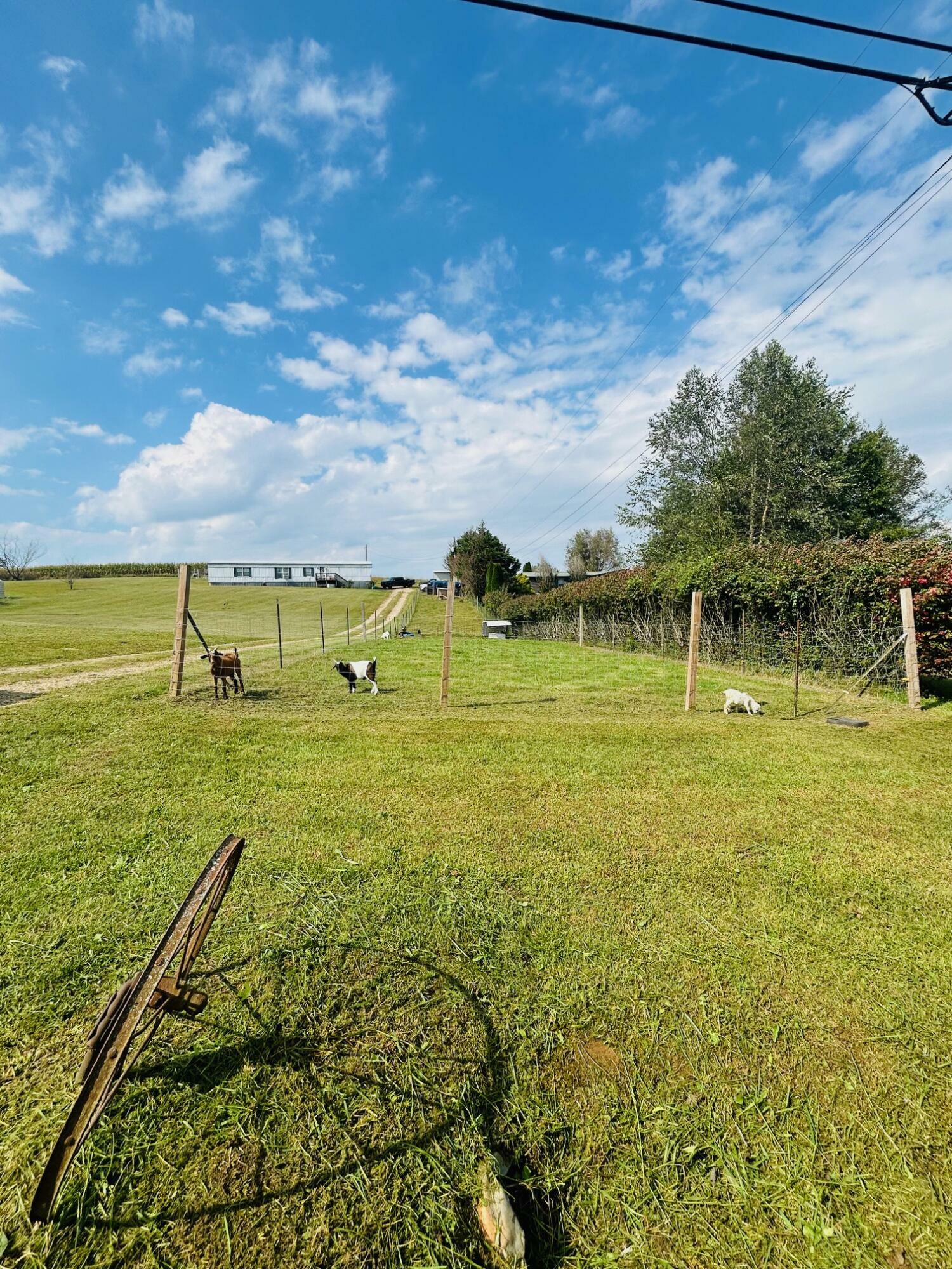 Property Photo:  303 Beech Grove Road  KY 42553 