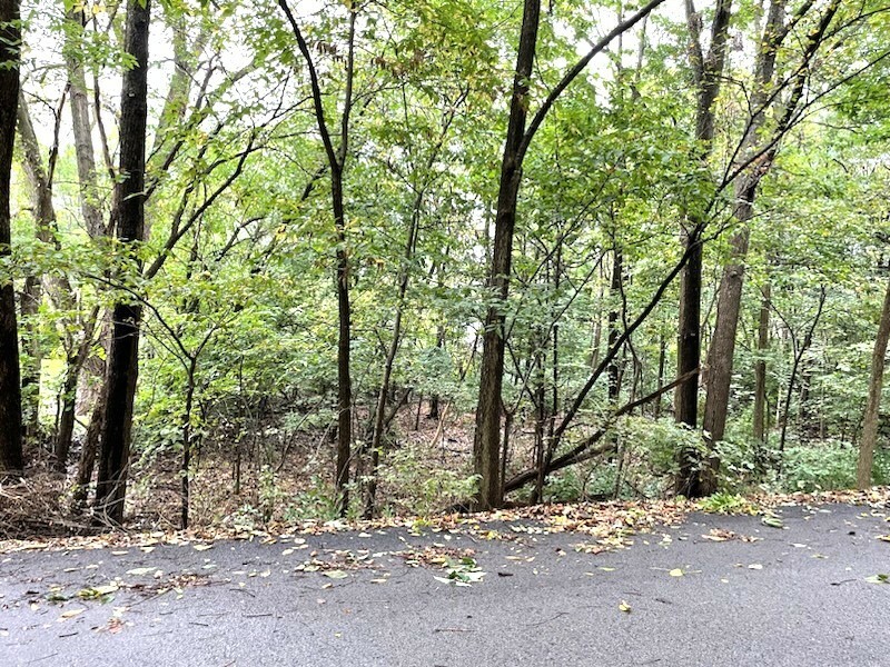 Property Photo:  Lot 61of Sec 21 Ontario Street  IL 60436 