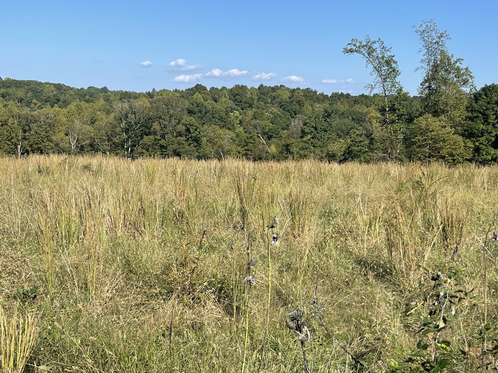 Property Photo:  0 Oak Grove Road  TN 37150 