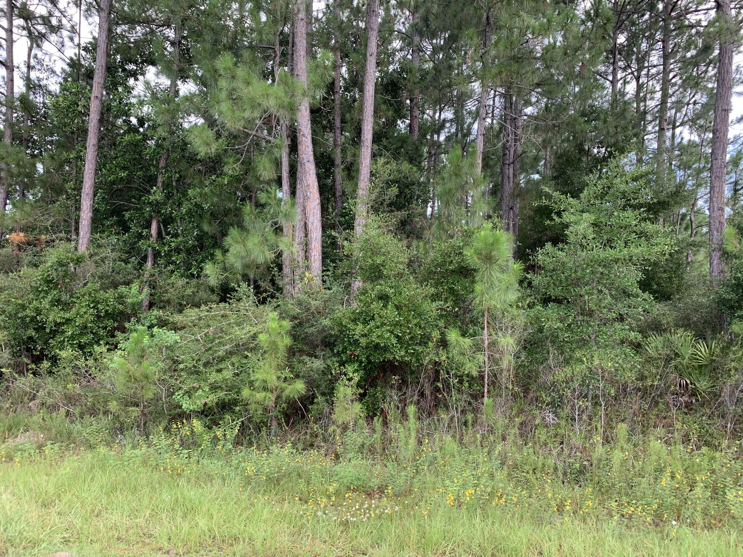 Property Photo:  2363 Knotty Pine Drive  FL 32566 