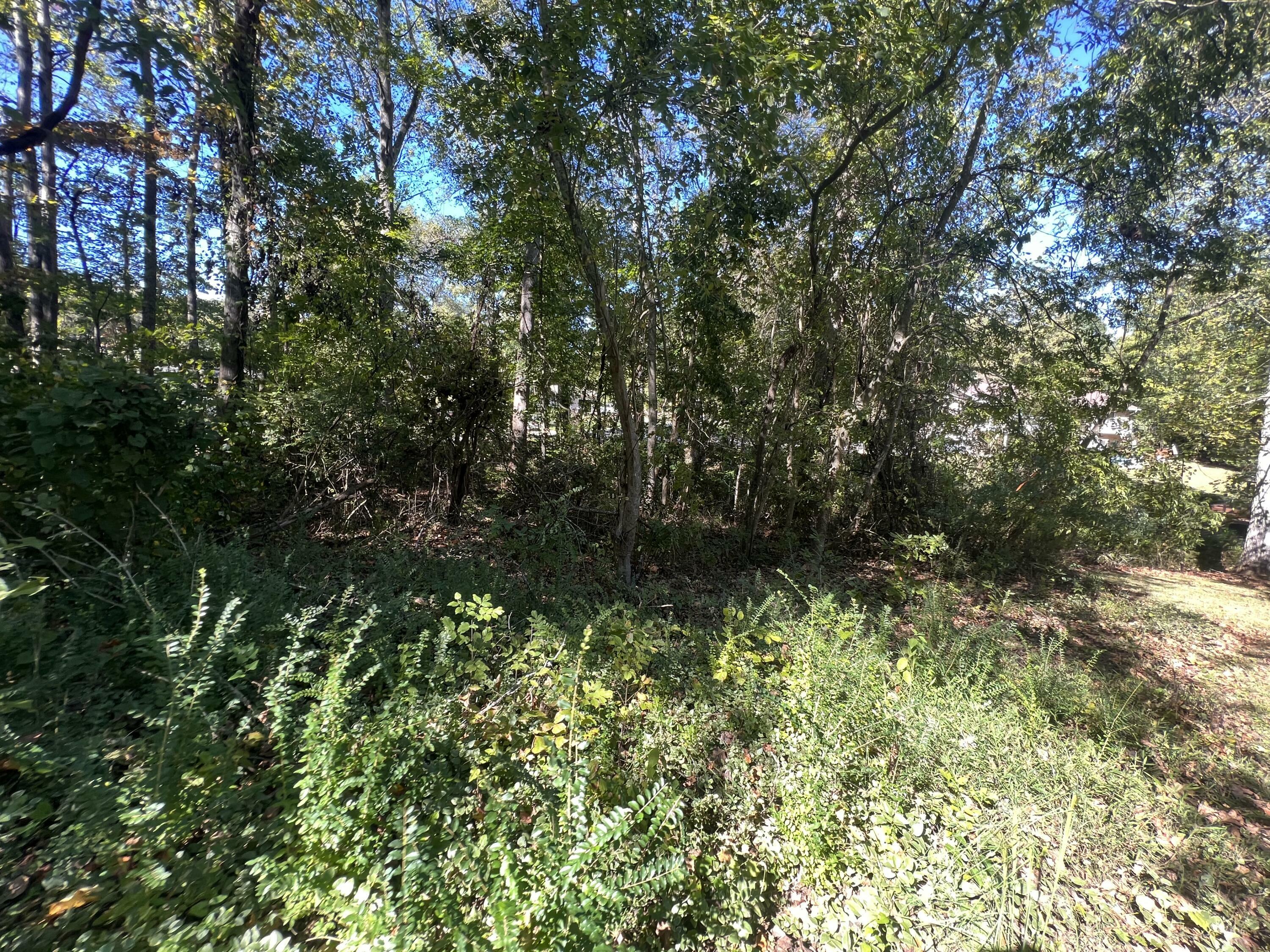 Property Photo:  0 N Shore Acres Road  TN 37379 