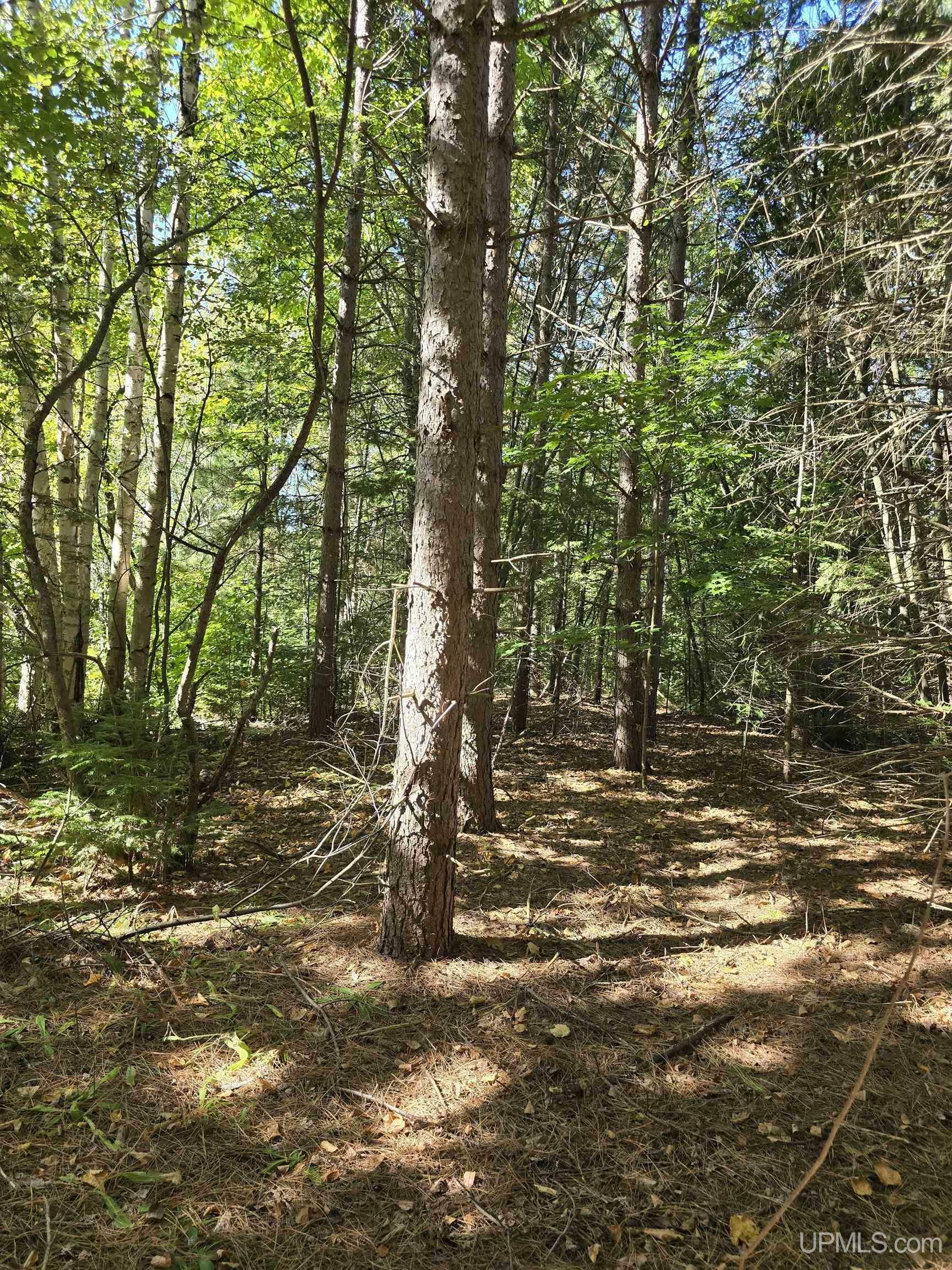 Property Photo:  Unit 17 Liminga Road  MI 49905 