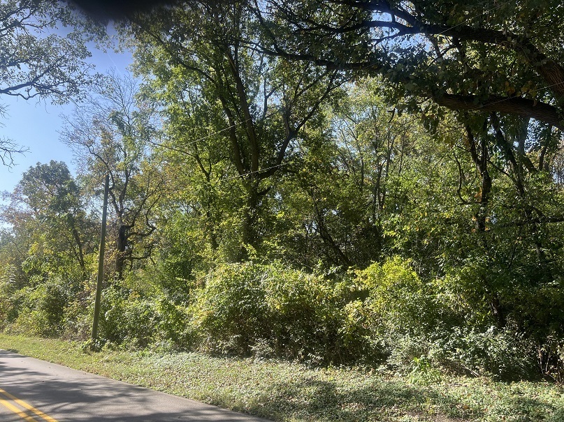 Property Photo:  Lot 4 McCornack Road  IL 60124 