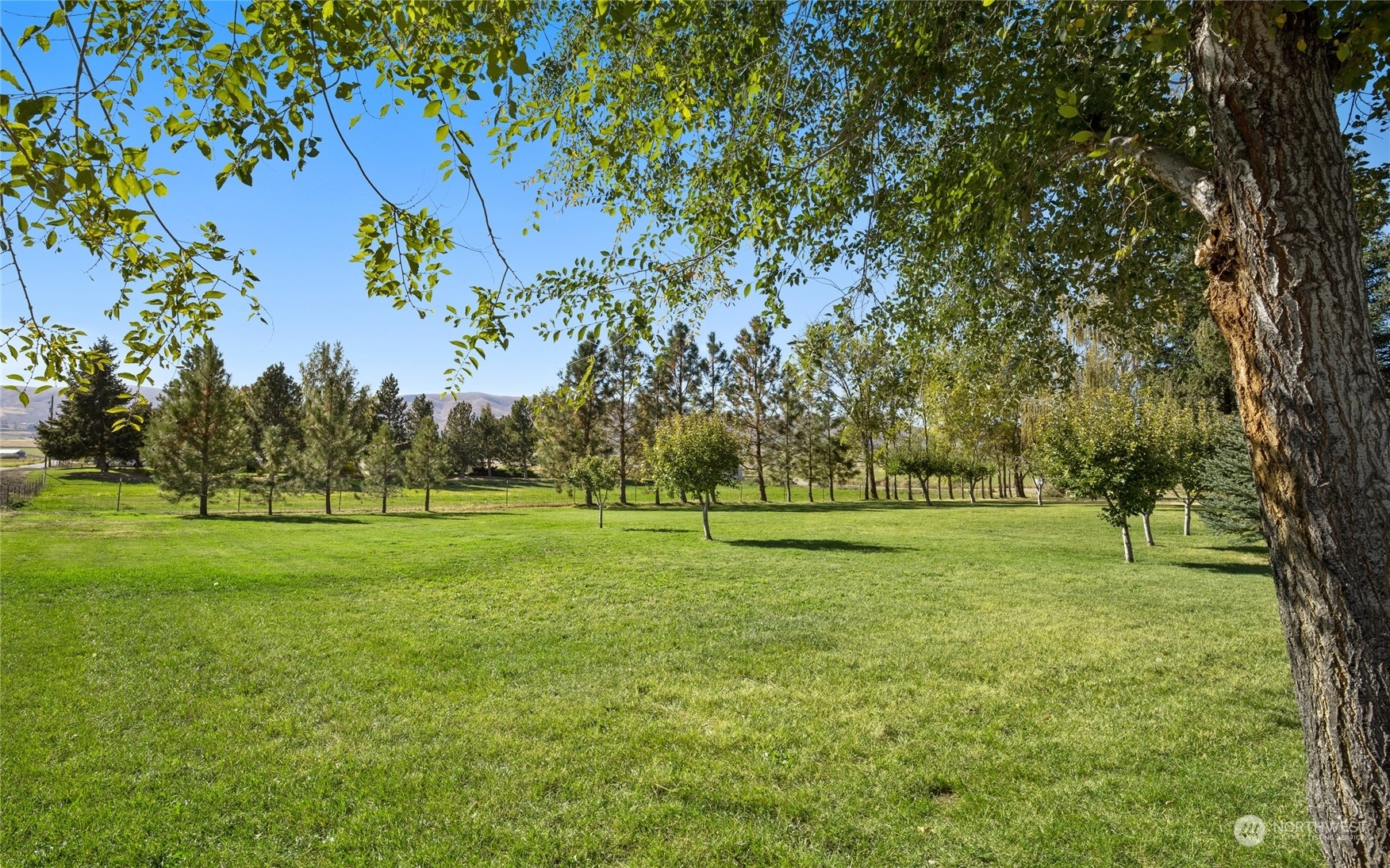 Property Photo: 3941 Cleman Road WA 98926