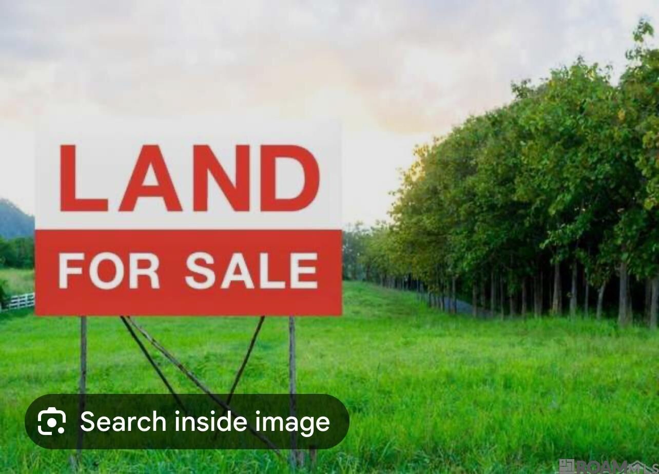 Property Photo:  Lot - W Ravier Ln  LA 70776