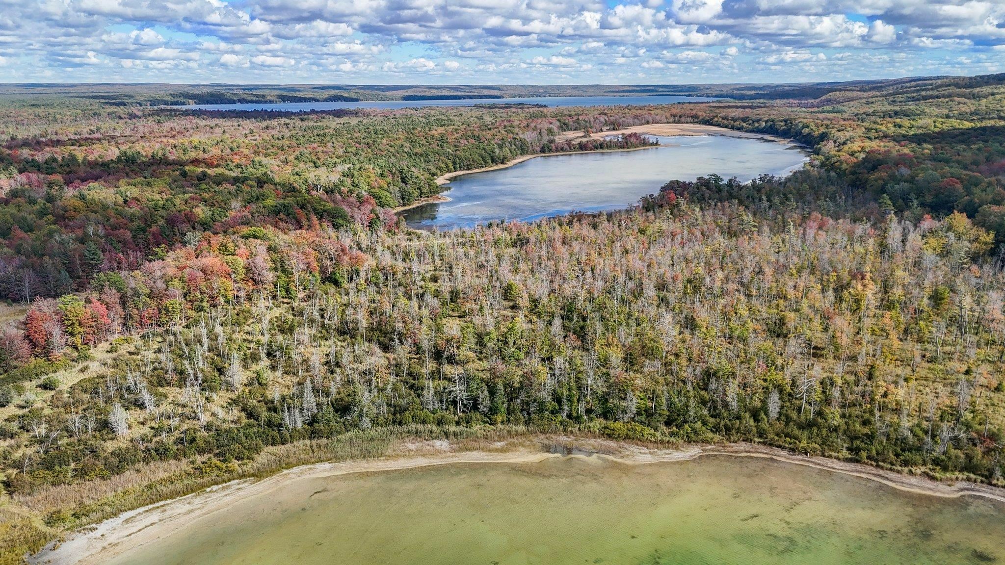 Property Photo:  Vl Cooper Road  MI 49640 