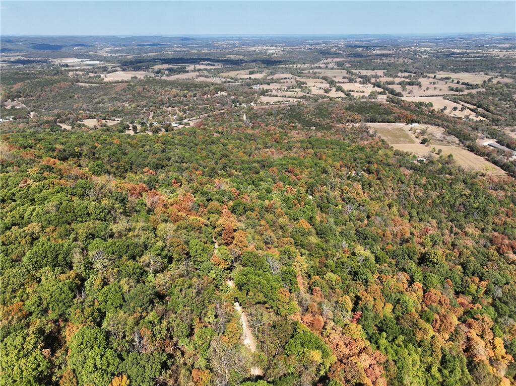 Property Photo:  Tbd County Road 507  AR 72616 