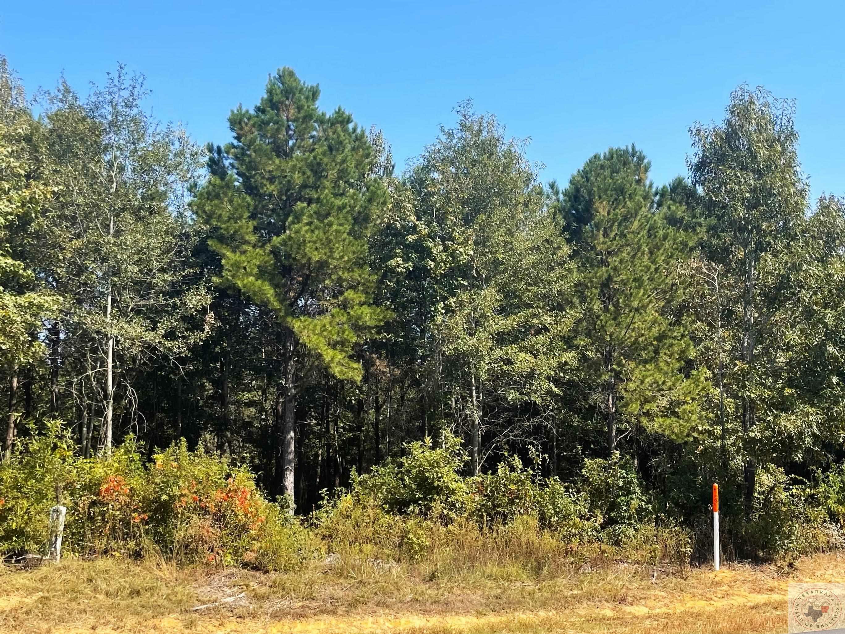 Property Photo: Lot 46 Creekwood Addition AR 71854