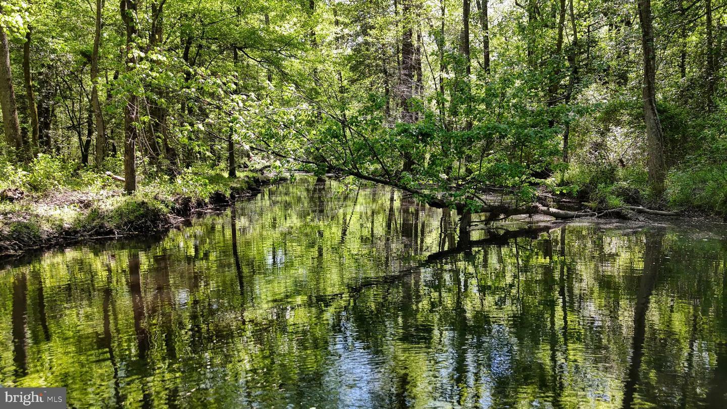 Property Photo: 0 Meadow Bridge Road MD 21863