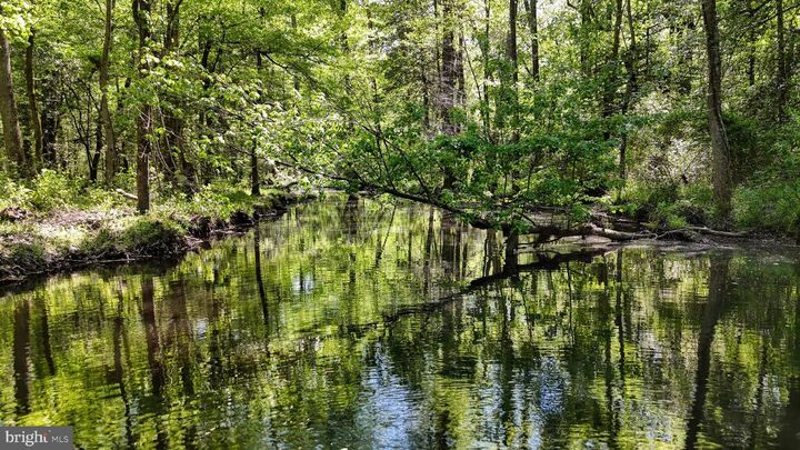 Property Photo:  0 Meadow Bridge Road  MD 21863 