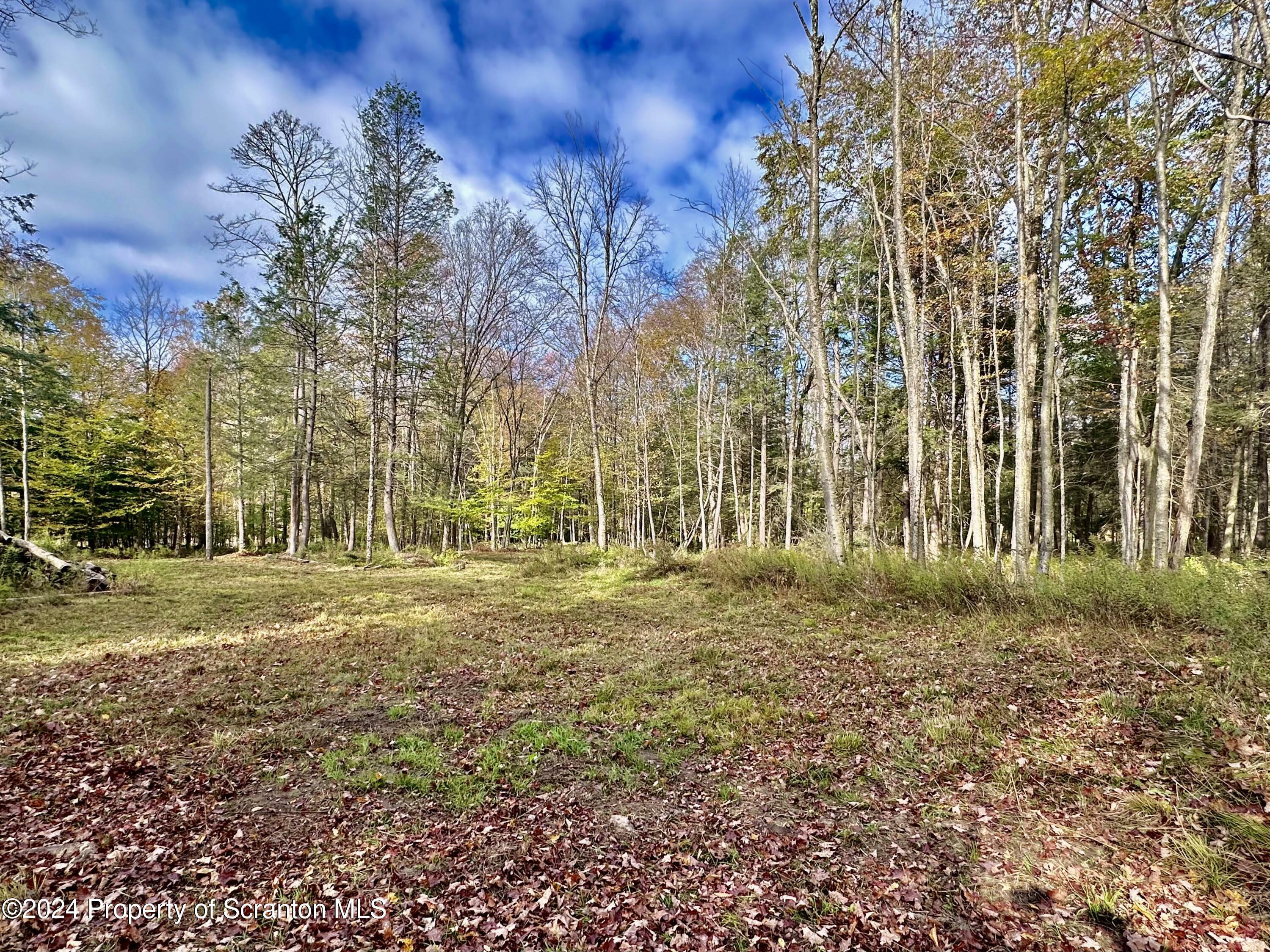 Property Photo:  Stark Road  PA 18470 