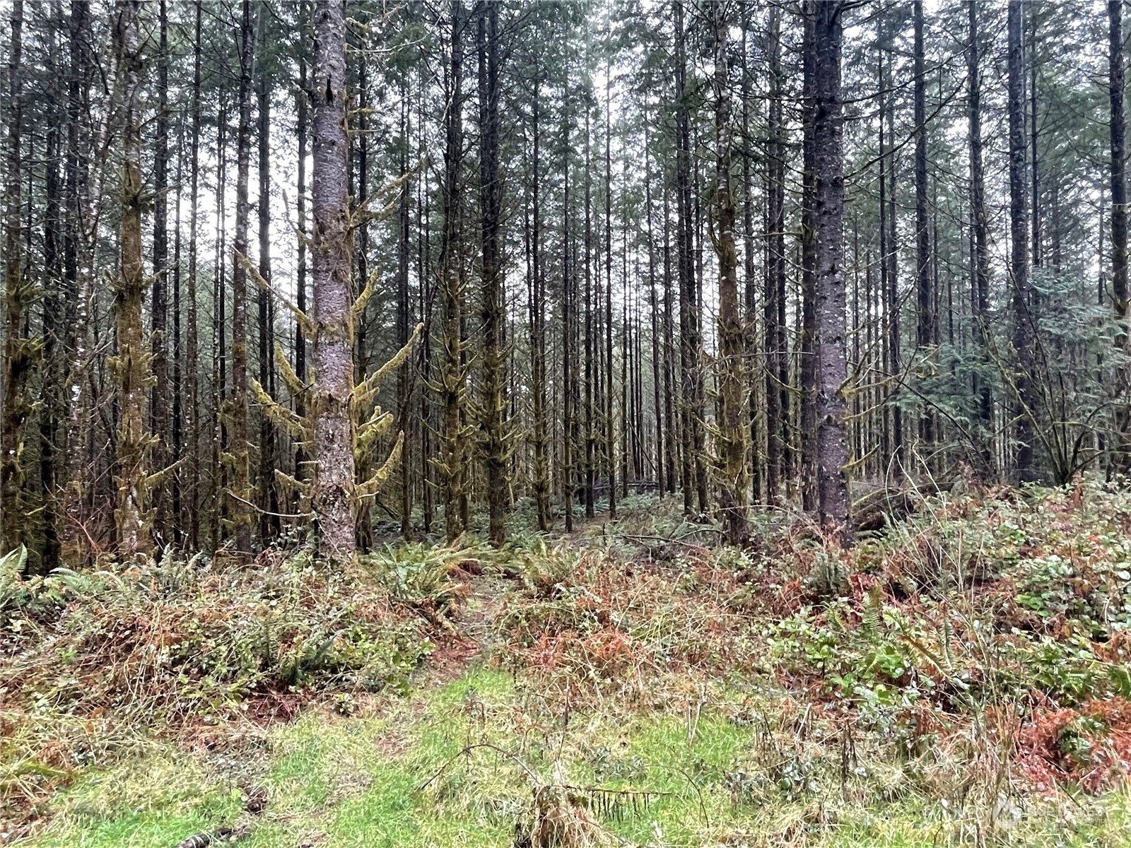 Property Photo:  0 Lot A NE Westerholm Road  WA 98606 