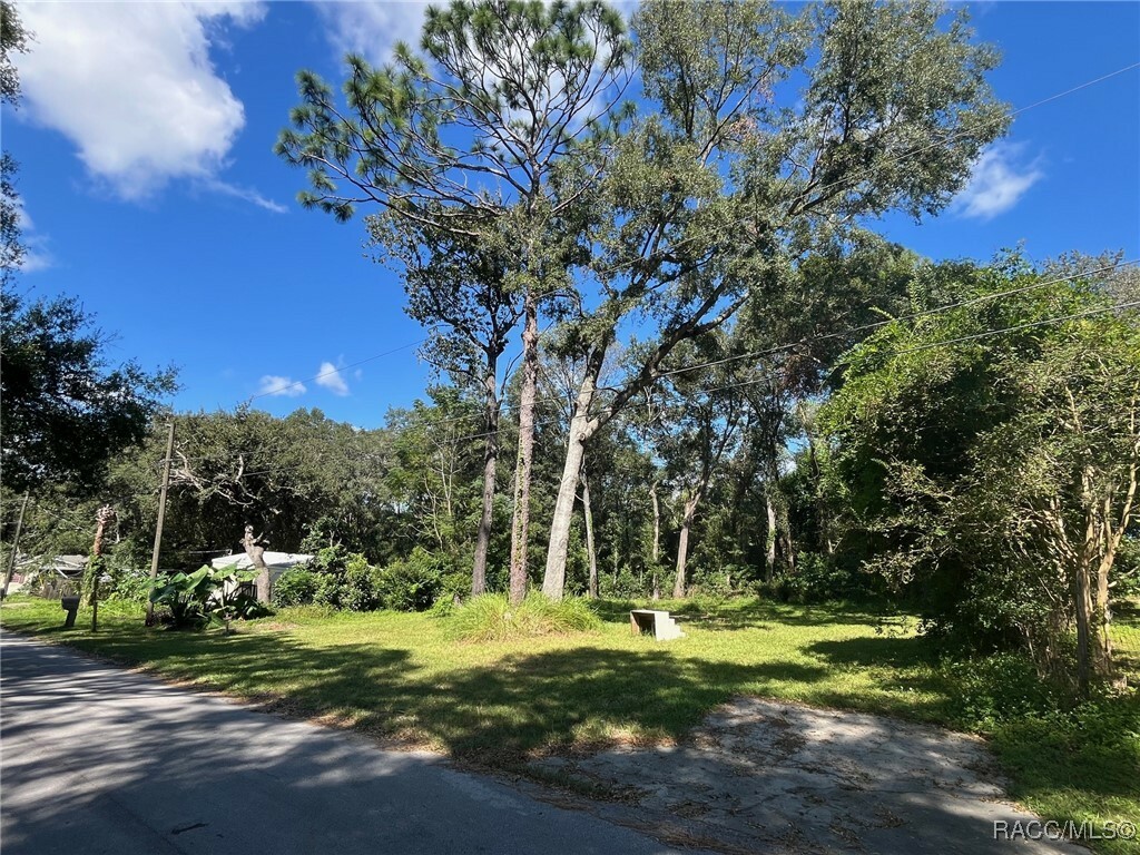 Property Photo:  2455 E North Street  FL 34453 