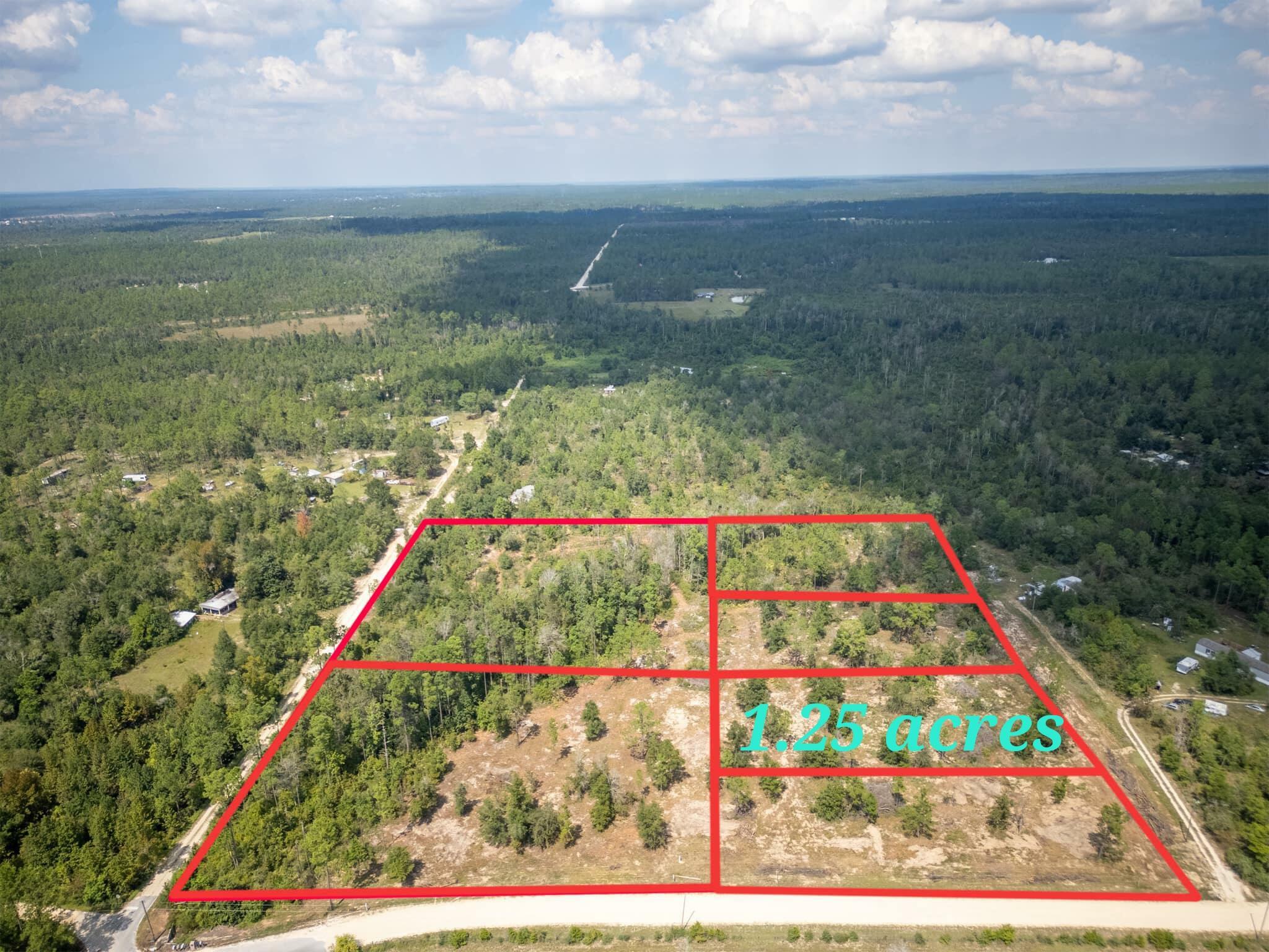 Property Photo:  1516 Lake Lillian Road  FL 32438 