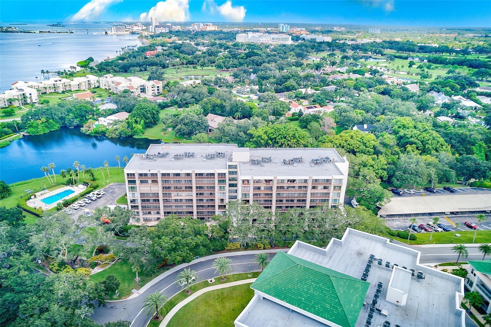 Property Photo: 220 Belleview Boulevard 802 FL 33756