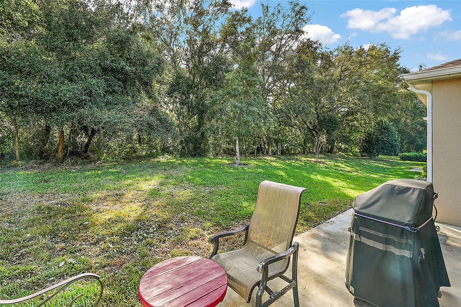 Property Photo:  3828 Arbordale Court  FL 34748 