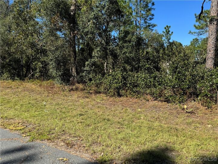 Property Photo: 3671 W Galtonia Lane FL 34433