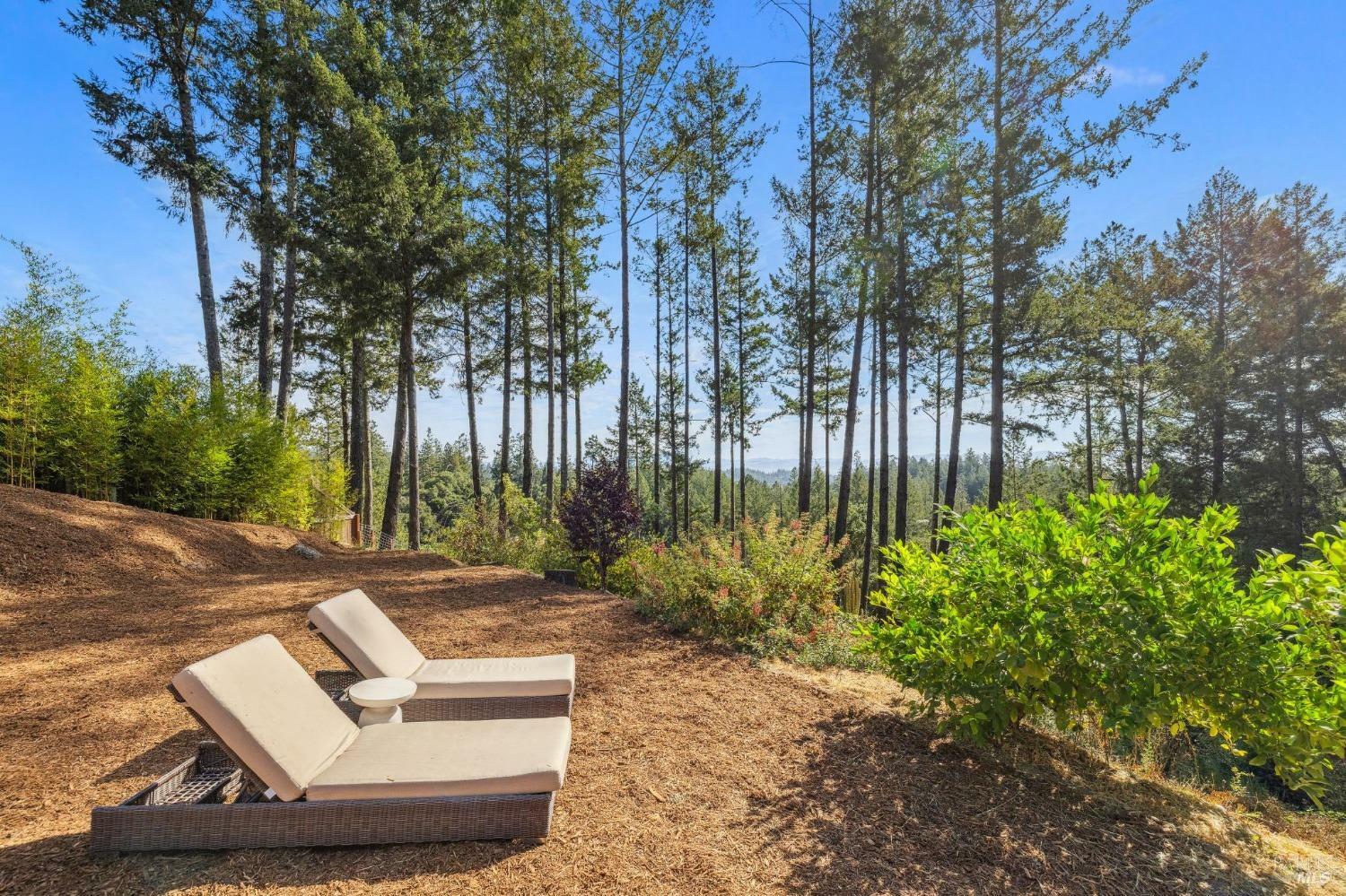 Property Photo:  10820 Canyon Road  CA 95436 