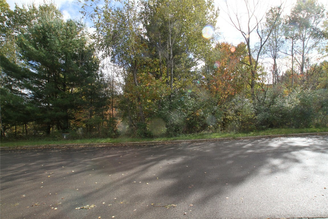 Property Photo:  1217 Lot#6 Domenica Drive  NY 13760 