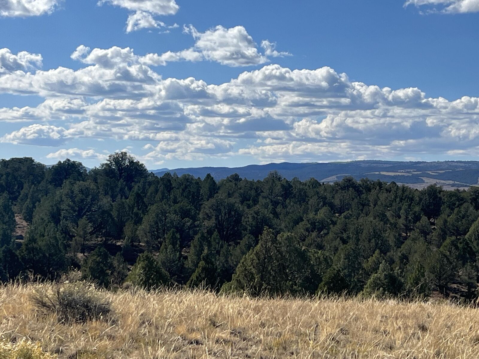 Property Photo: 1865 E Paunsaugunt Cliffs Dr UT 84735